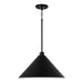 Alden 1-Light Pendant in Matte Black - Lamps Expo