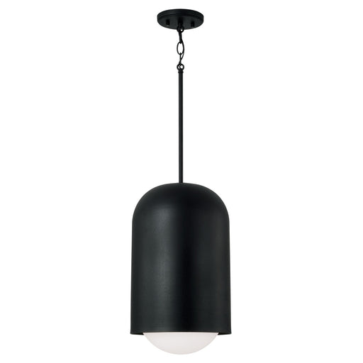 Dolby 1-Light Pendant in Black Iron - Lamps Expo
