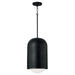 Dolby 1-Light Pendant in Black Iron - Lamps Expo