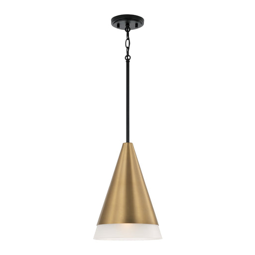 Avant 1-Light Pendant in Aged Brass and Black - Lamps Expo