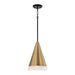 Avant 1-Light Pendant in Aged Brass and Black - Lamps Expo
