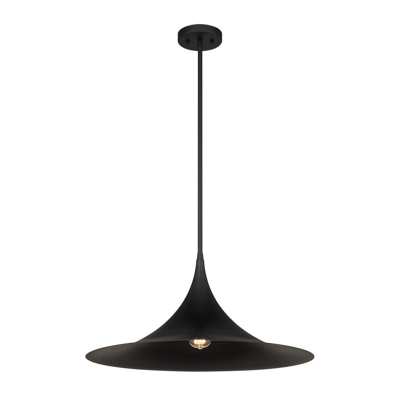Bowdin Pendant in Matte Black