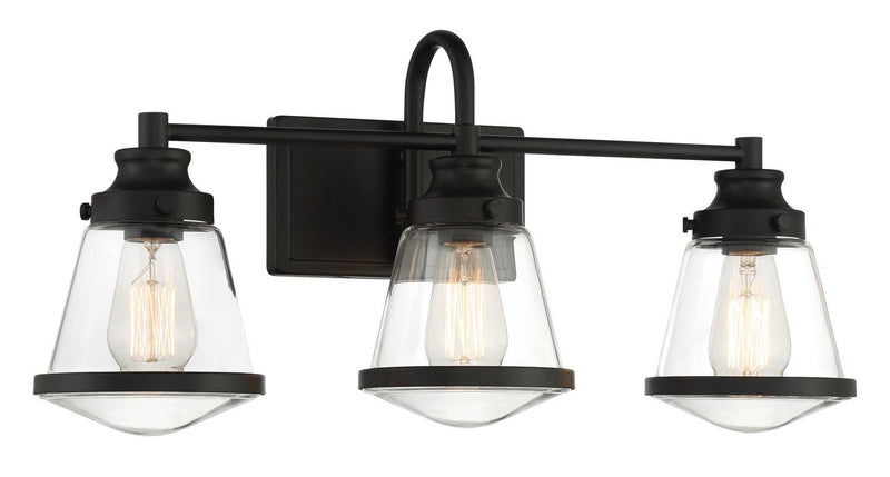 Mannsdale 3-Light Bath Vanity Light in Coal