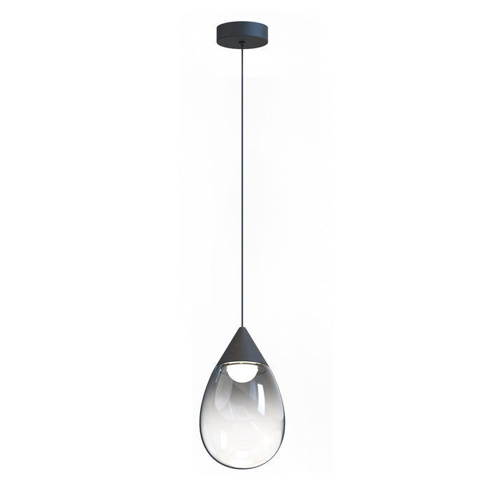 Dewdrop LED Pendant in Black - Lamps Expo