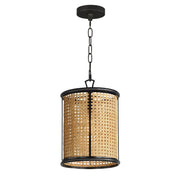 Cane 1 Light Pendant in Black