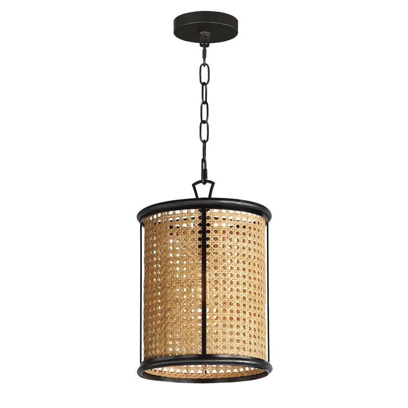 Cane 1 Light Pendant in Black