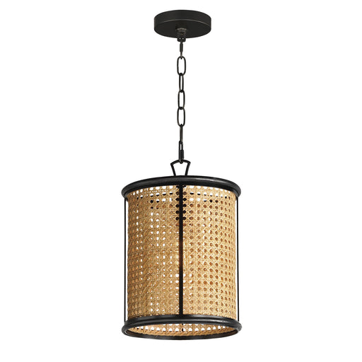 Cane 1 Light Pendant in Black