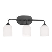 Emile 3-Light Bath Vanity Light in Midnight Black