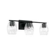 Lucas 3-Light Bath Vanity Light in Matte Black