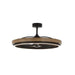 Teton LED Fandelight in Driftwood / Black