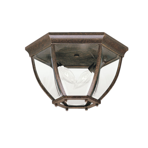 Outdoor Ceiling Light 2-Light in Tannery Bronze