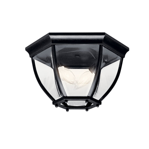 Outdoor Ceiling Light 2-Light in Black