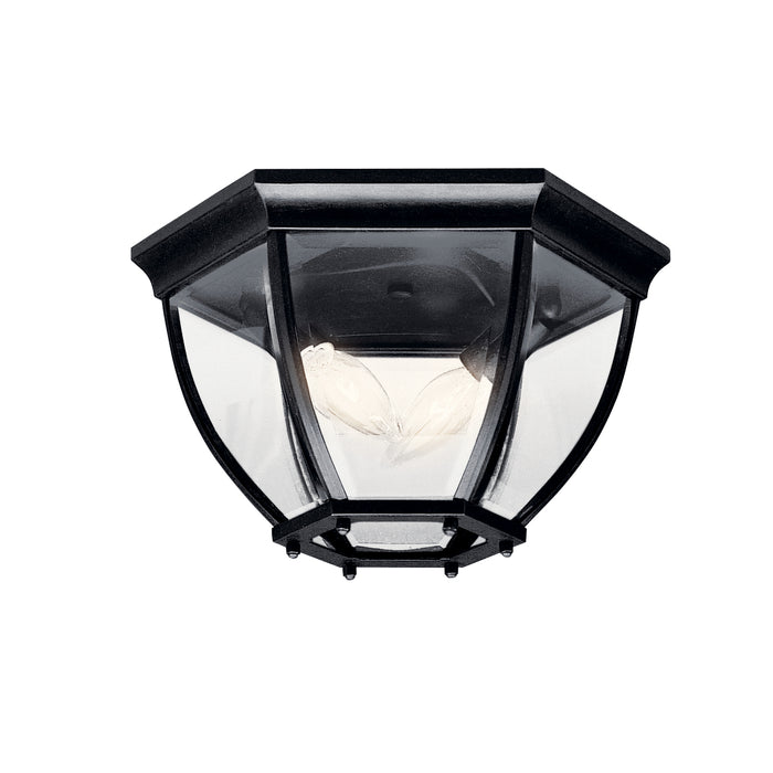 Outdoor Ceiling Light 2-Light in Black