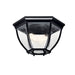 Outdoor Ceiling Light 2-Light in Black