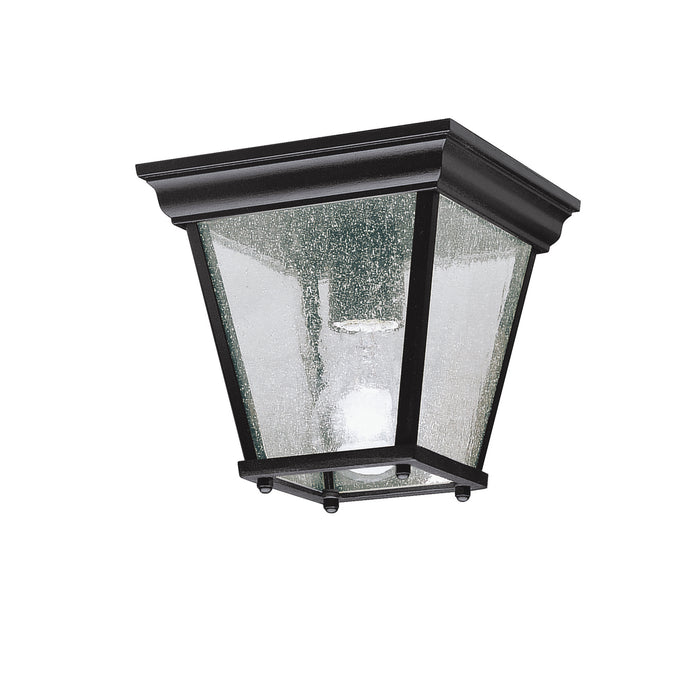 Outdoor Ceiling Light 1-Light in Black