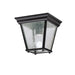 Outdoor Ceiling Light 1-Light in Black
