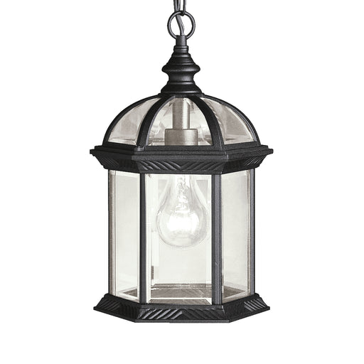 Barrie Outdoor Pendant 1-Light in Black
