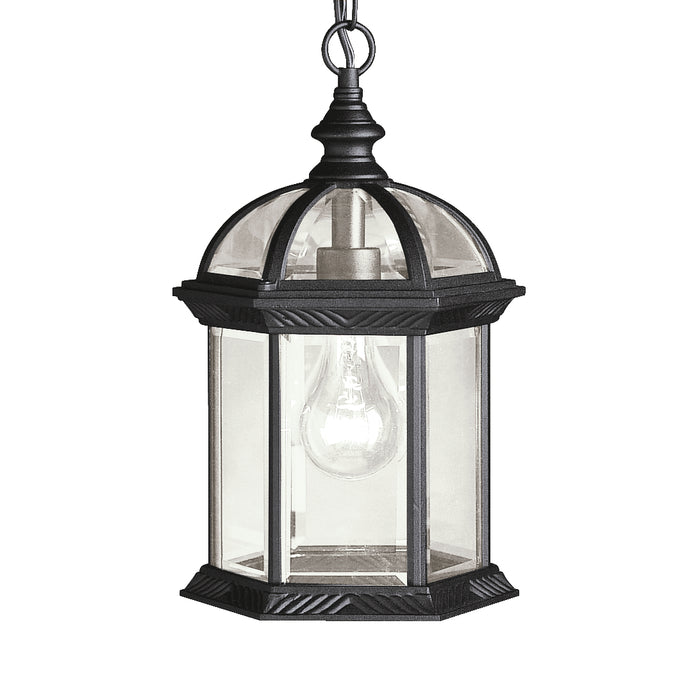 Barrie Outdoor Pendant 1-Light in Black