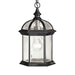 Barrie Outdoor Pendant 1-Light in Black