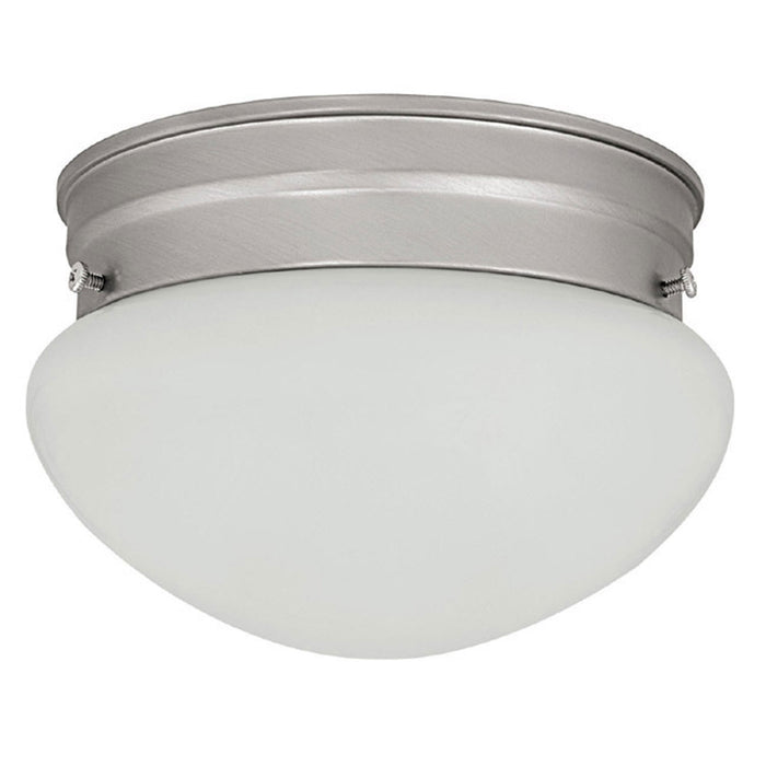 1 Light Flush and Semi-Flush in Matte Nickel