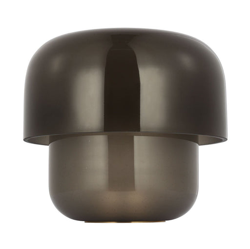 Bolete Accent Table Lamp in Seeded Smoke Hand Rubbed Antique Brass