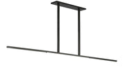 Cityscape X-Large 2-Light Linear Pendant in Clear Crystal Bronze
