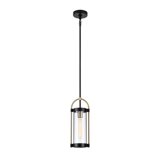 Bonita Mini Pendant in Black and Brushed Brass