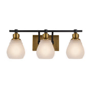 Nelson 3-Light Bath Vanity Light in Brass and Black