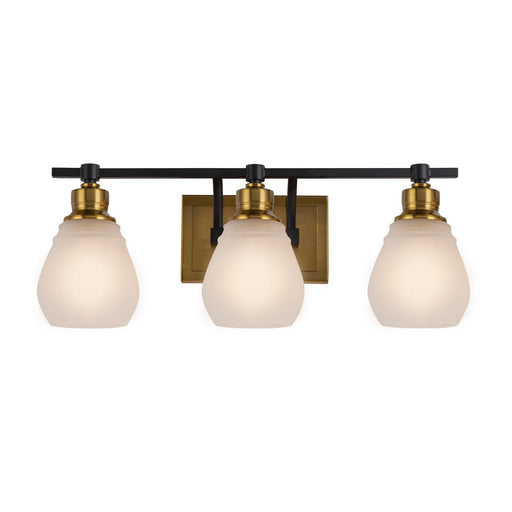 Nelson 3-Light Bath Vanity Light in Brass and Black