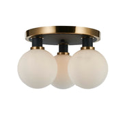 Gem 3-Light Flush Mount in Black and Brushed Brass