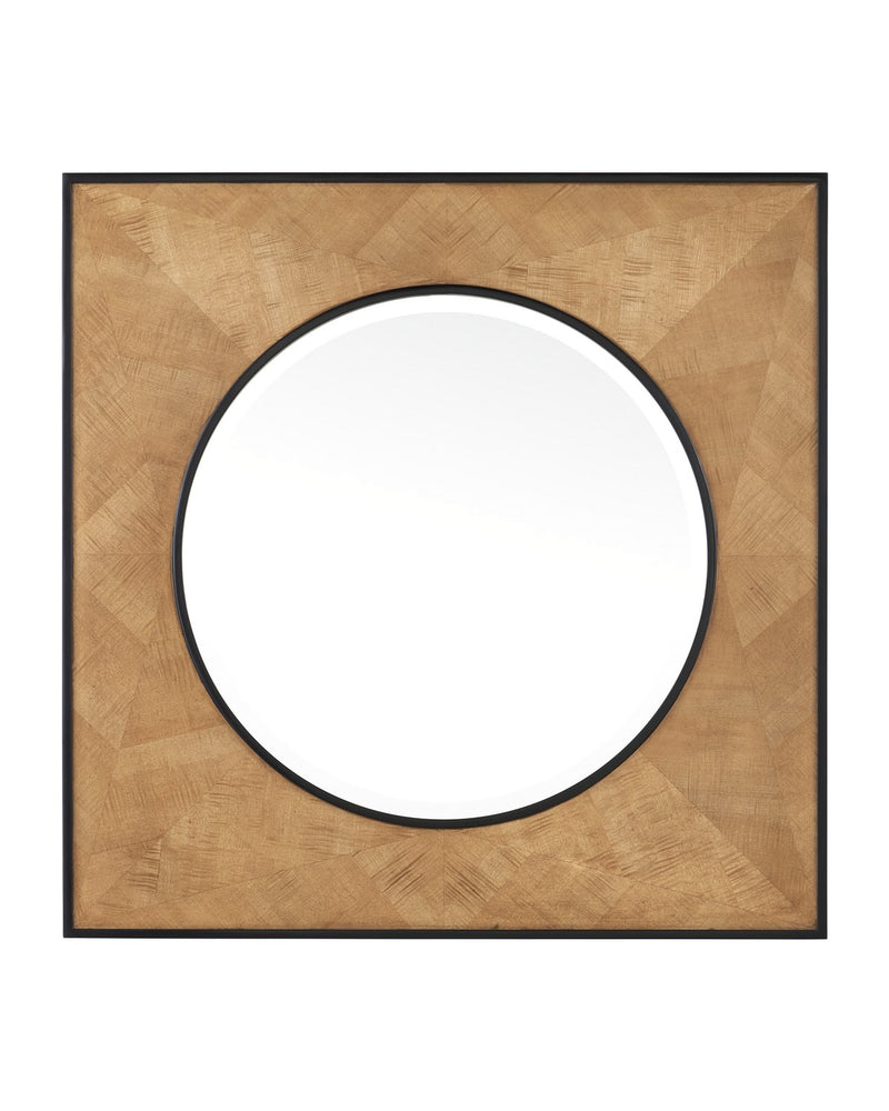 1000-0147 - Kallista Mirror in Taupe & Black by Currey and Company