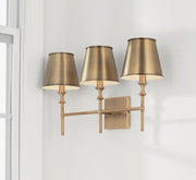 Whitney 3-Light Bath Vanity Light in Aged Brass
