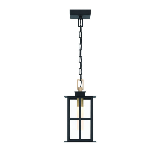 Greyson 7.5" Outdoor Pendant in Brass-Black Mix