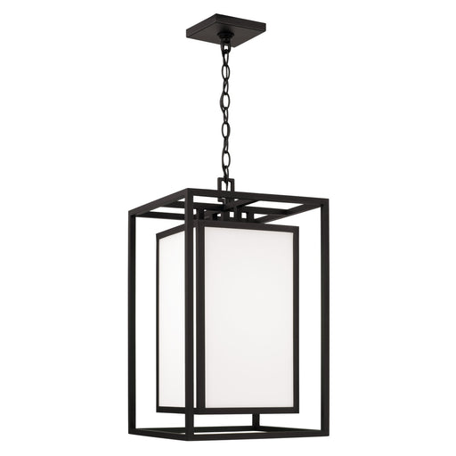 Aiden One Light Outdoor Hanging Lantern in Black