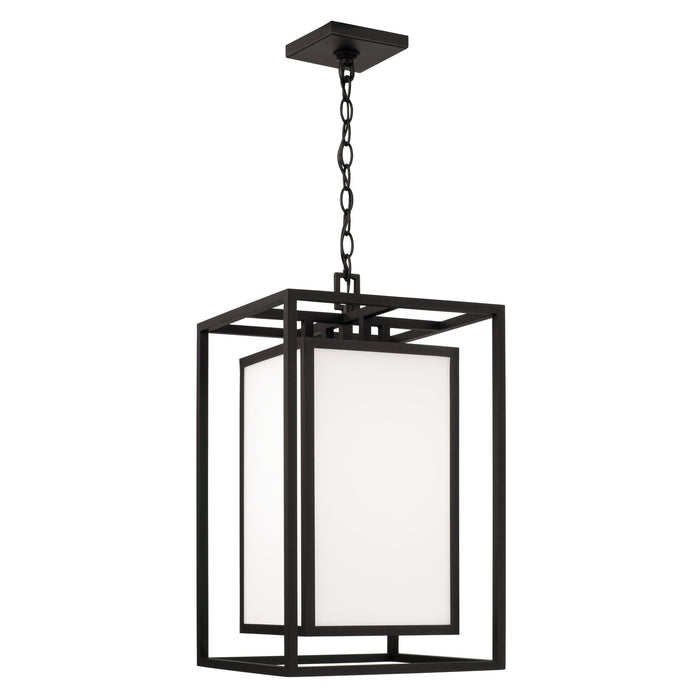 Aiden One Light Outdoor Hanging Lantern in Black