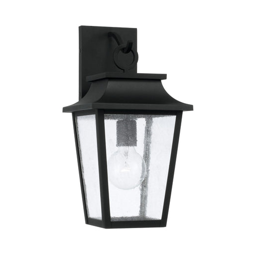 Chandler One Light Outdoor Wall Lantern in Black