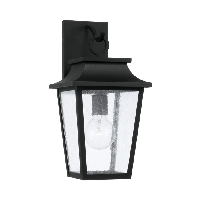 Chandler One Light Outdoor Wall Lantern in Black