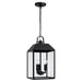Nelson Three Light Outdoor Hanging Lantern in Black