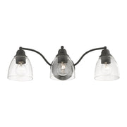 Montgomery 3-Light Bath Vanity Light in Black