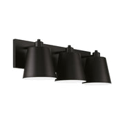 Alden 3-Light Bath Vanity Light in Matte Black