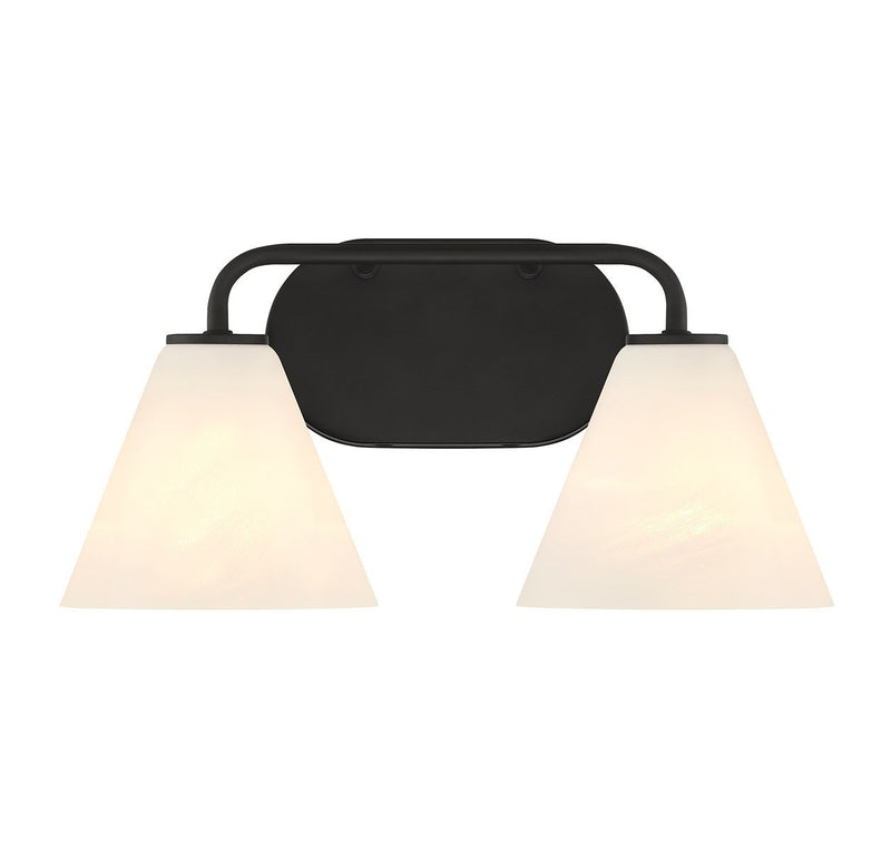 Blair 2-Light Bath Vanity Light in Matte Black