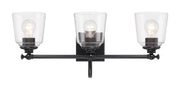 Antonia 3-Light Bath Vanity Light in Coal Black