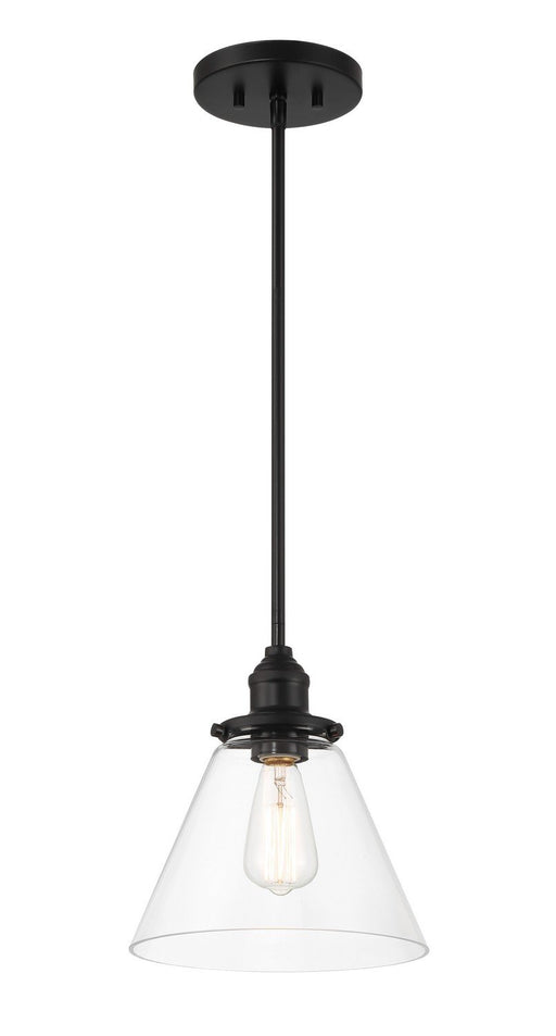 Barwell Mini Pendant in Coal Black