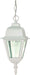 Briton 1-Light 10" Hangng Lantern in White