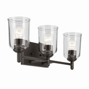 Shailene 3-Light Bath Vanity Light in Olde Bronze