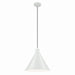 Zailey One Light Pendant in White