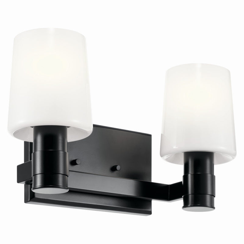 Adani 2-Light Bath Vanity Light in Black
