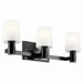 Adani Three Light Vanity in Black