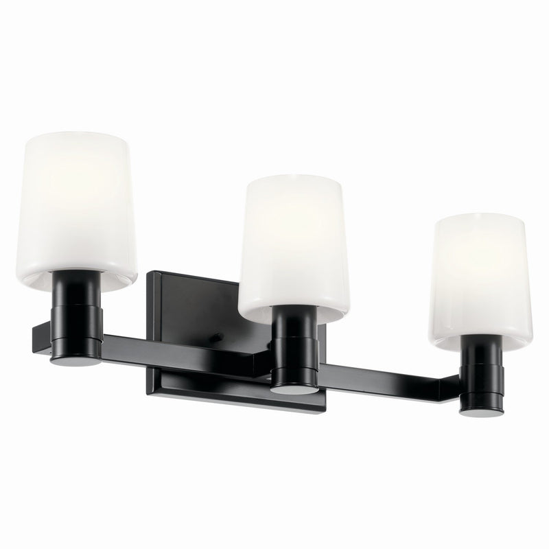 Adani 3-Light Bath Vanity Light in Black