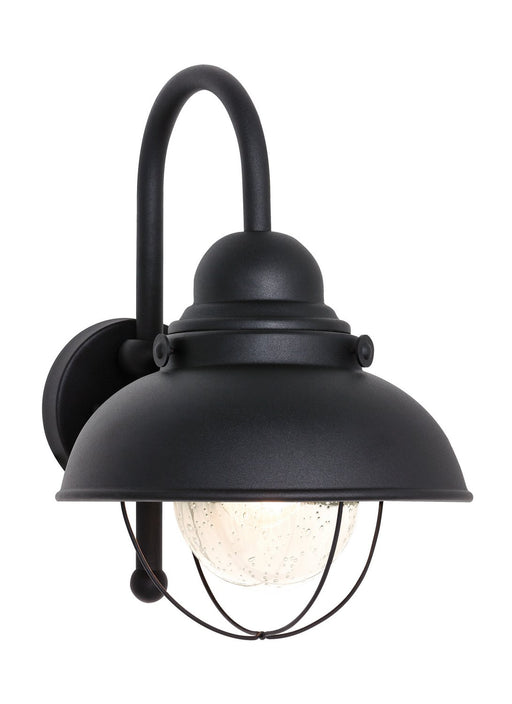 Sebring 16" Outdoor Wall Lantern in Black